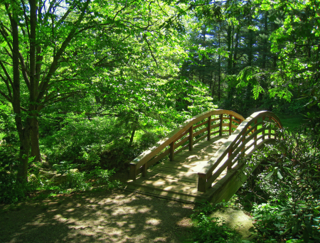 Asheville Botainical Gardens Wedding Officiant