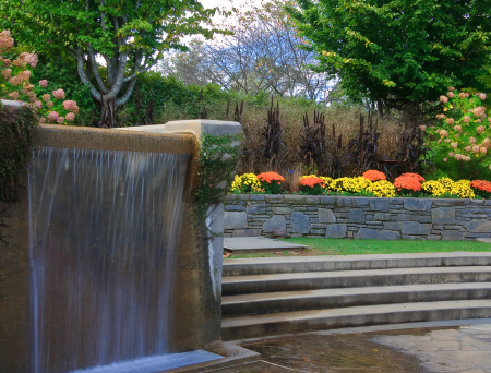 North Carolina Arboretum Wedding Officiant